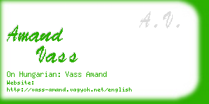 amand vass business card